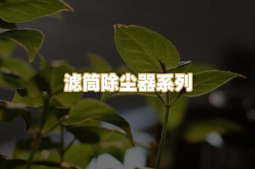 滤筒除尘器系列